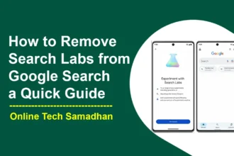 How to Remove Search Labs from Google Search