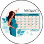 Pregnancy Due Date Calculator